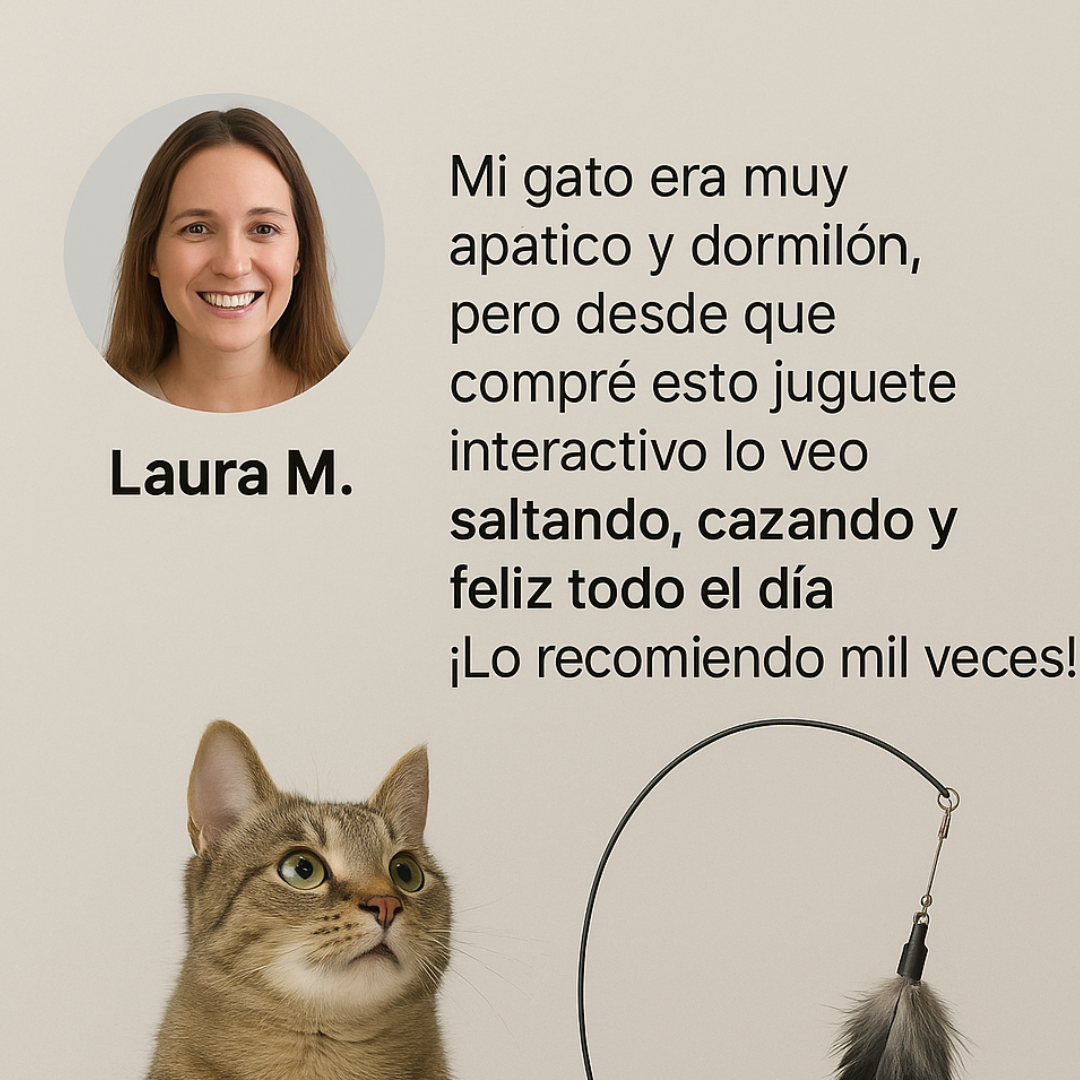 Juguete Gato Teaser EL ORIGINAL